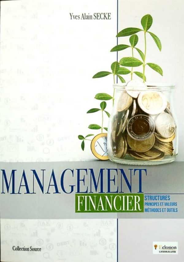 management financier conseil finance yaoundé