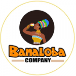 logo banaloba company conseil finance