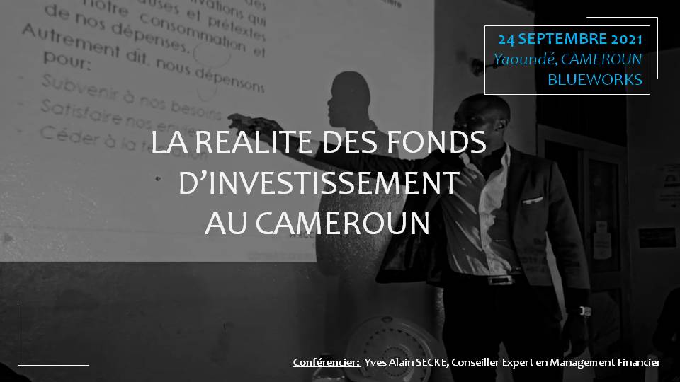 fond investissement cameroun